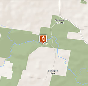 Dog Park Minnamurra Dog Park Minnamurra